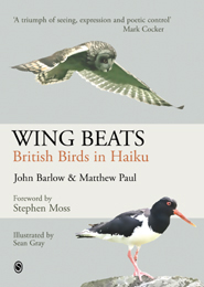 Wing Beats cover